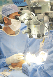 Dr. Dass microsurgery